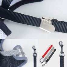 Load image into Gallery viewer, Pet Harnesses Leash Chest Belt Collar Traction Rope For Dogs Breathable Dog Dress Bow Vest Clothes *120cm