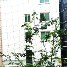 Load image into Gallery viewer, Garden Green Nylon Trellis Netting Mesh 10x10cm Support Climbing Plant Fence