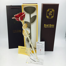 Load image into Gallery viewer, 24K Gold Roses Plated Real Red Rose Birthday Valentine&#39;S Day Anniversary Gift With Souvenir Bag For Girdfriend and Mother&#39;s Gift